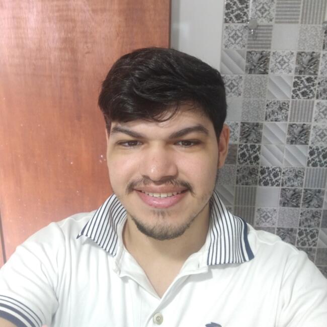 Babysitter in Recife: Vinicius