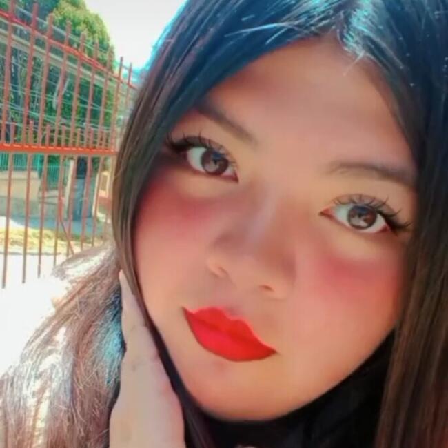 Babysitter in Rancagua: Betsania Melillan