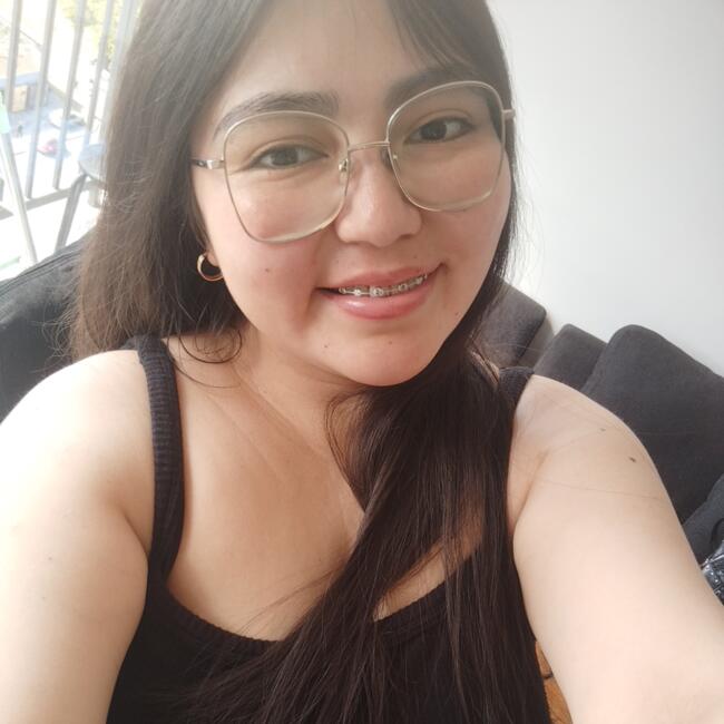 Babysitter in Concepción: Camila