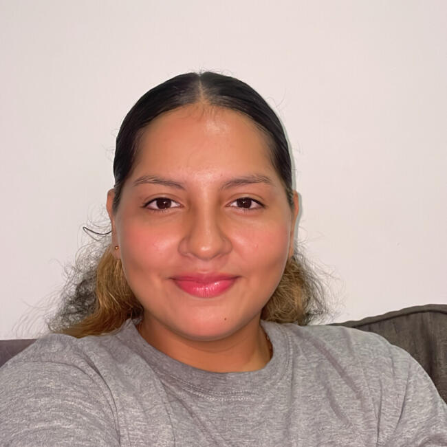 Babysitter in Santiago: Hermelinda