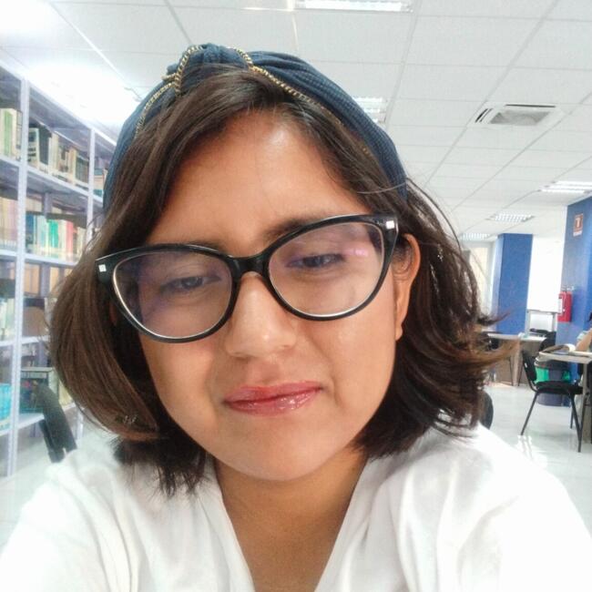 Babysitter in Tuxtla Gutiérrez: Lucero