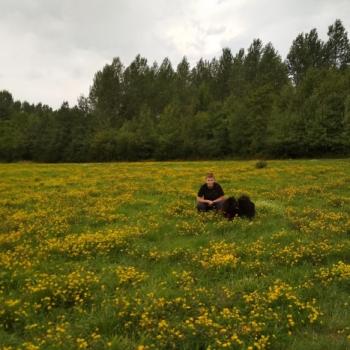 Baby-sitter in Villeneuve-d'Ascq: Leo