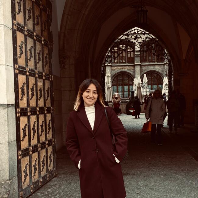 Babysitter in Edinburgh: Narin