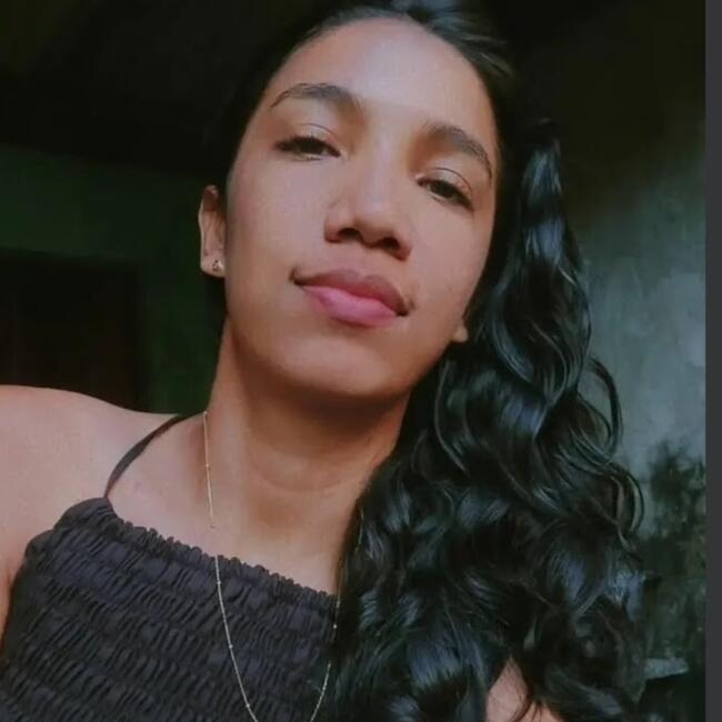 Babysitter in Belém: Samer danielly