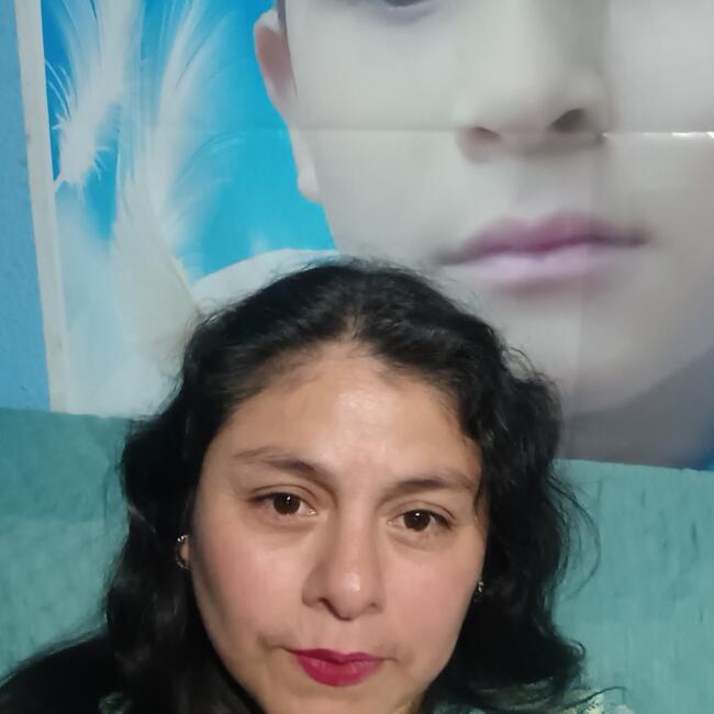 Babysitter in Santiago: Gina Marianela 