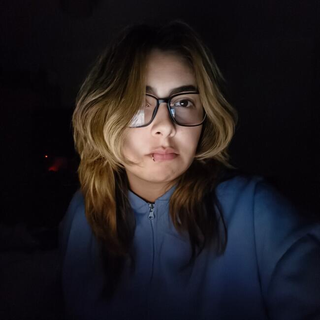 Babysitter in La Serena: Rocío