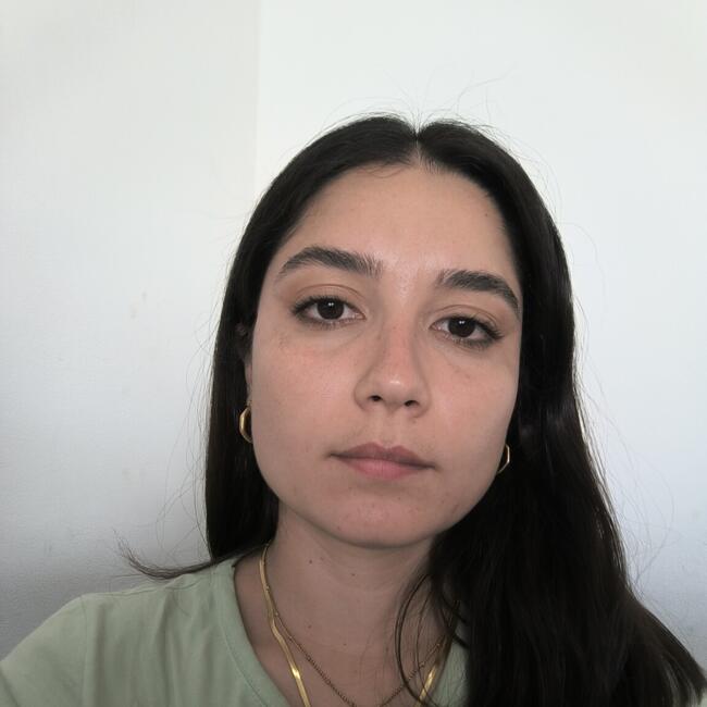 Babysitter in Uberlândia: Lidia