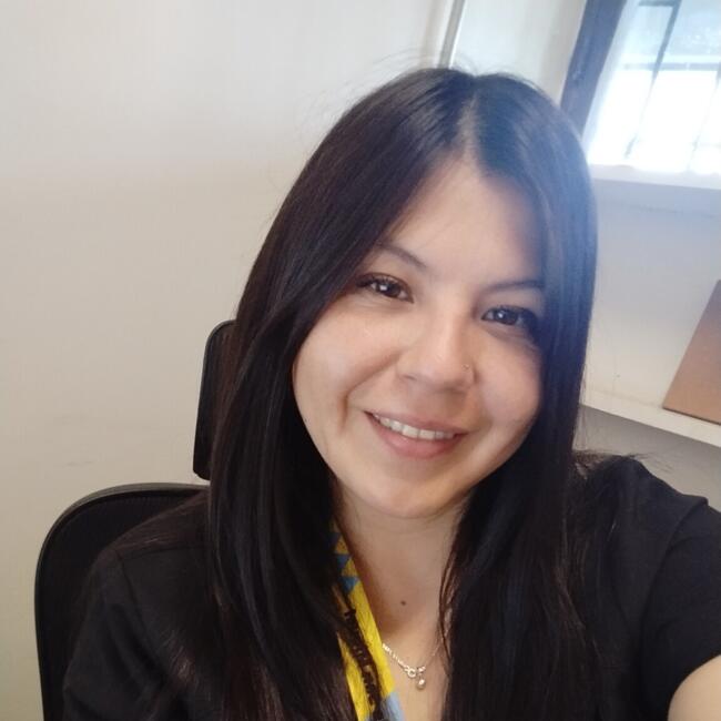 Trabajo para niñera en Santiago de Chile: Paula