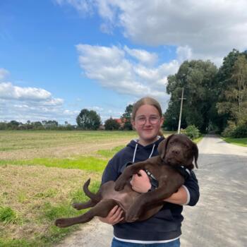 Babysitter in Méteren: Manon