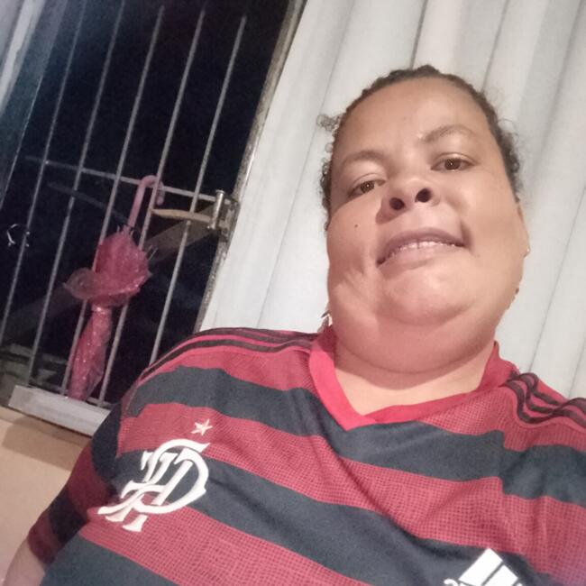 Babysitter in São Gonçalo (São Gonçalo): Renata Santos