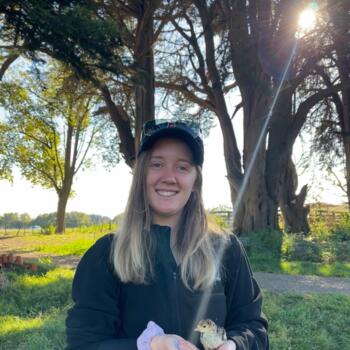 Babysitter in Palmerston North: Charlotte Andrew