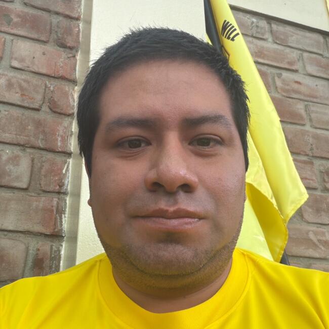 Babysitting job in Sunampe (Provincia de Chincha): Cristhian