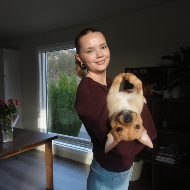 Babysitter in Trondheim: Ingrid