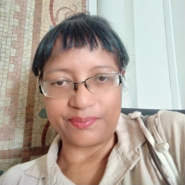 Babysitter in Sevran: Hani