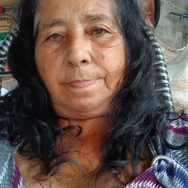 Babysitting job in Maia: Aparecida