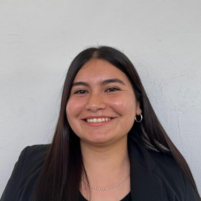 Babysitter in Arica: Alinson