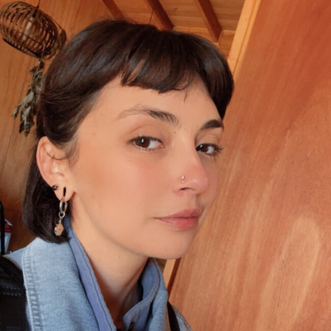 Babysitter in Santiago: Lin Camelia