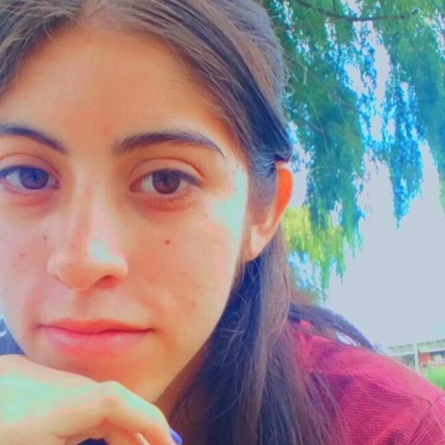 Babysitter in San Miguel de Tucumán: Caro