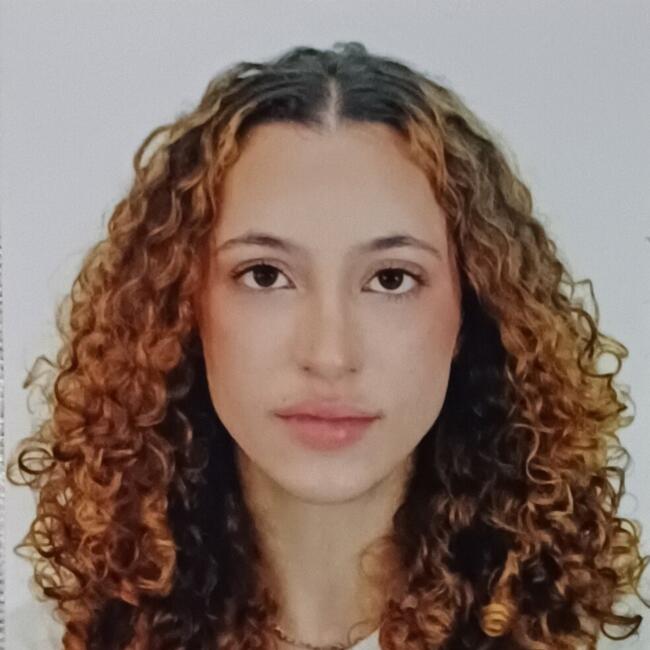 Babysitter in Nova Friburgo: Catarina