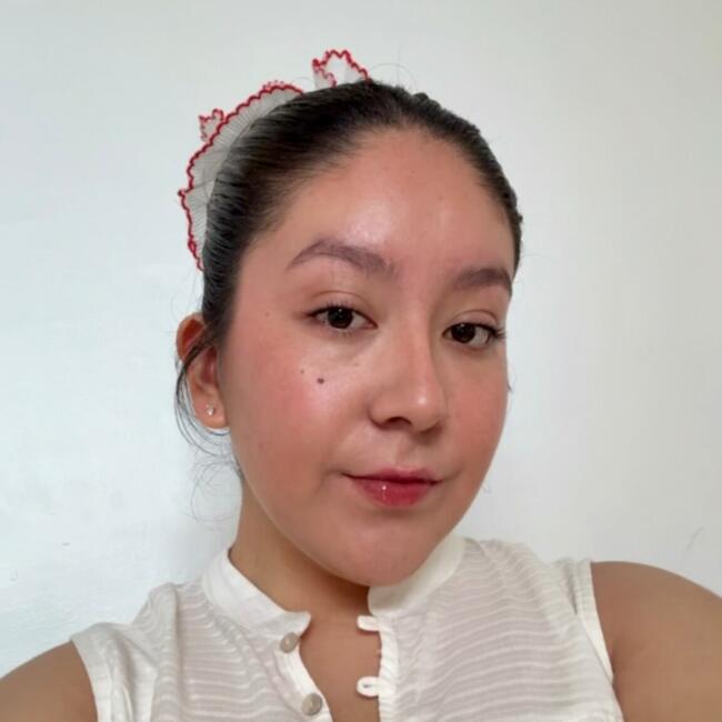 Babysitter in Albany: Lizeth