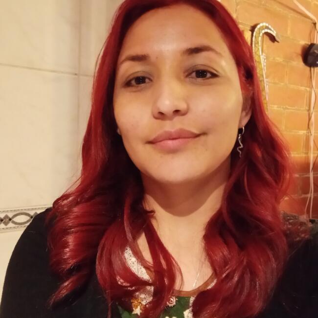 Babysitting job in La Reina: Lesly