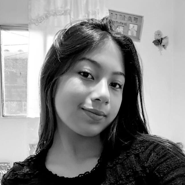 Babysitter in Balboa (Risaralda): Nicksy