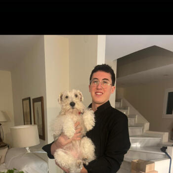 Babysitter in Oviedo: Juan