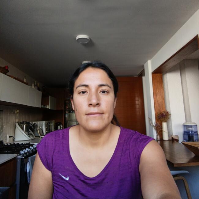 Niñera en San Miguel Topilejo: Alice