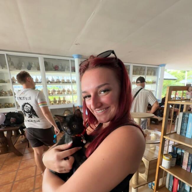 Babysitter in Bristol: Honey