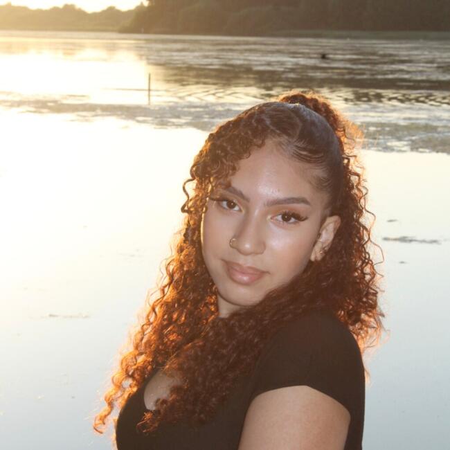 Babysitter in Trappes: Wisale