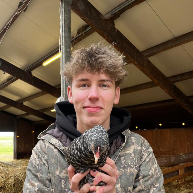 Babysitter in Bruinisse: Tristan