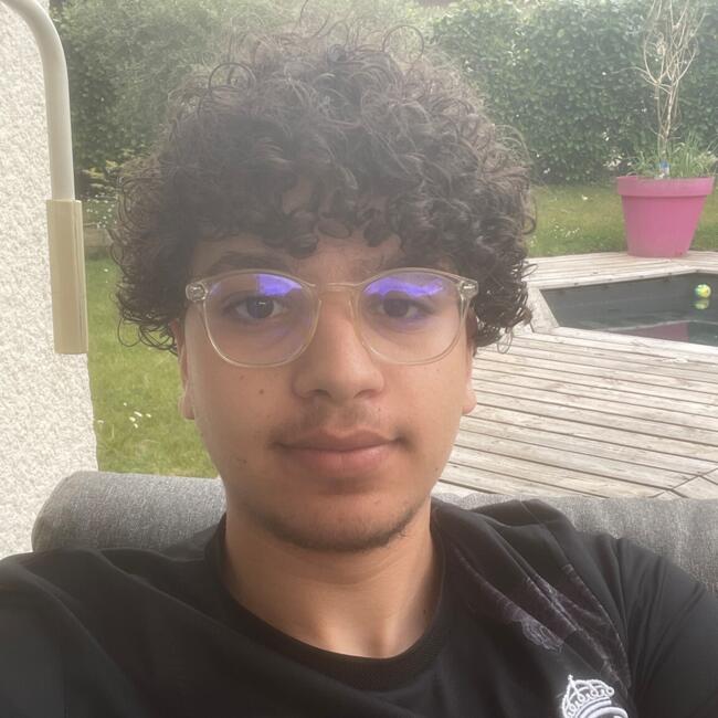 Babysitter in Nantes: Hakim