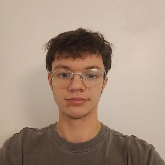 Baby-sitter à Grenoble: Arno