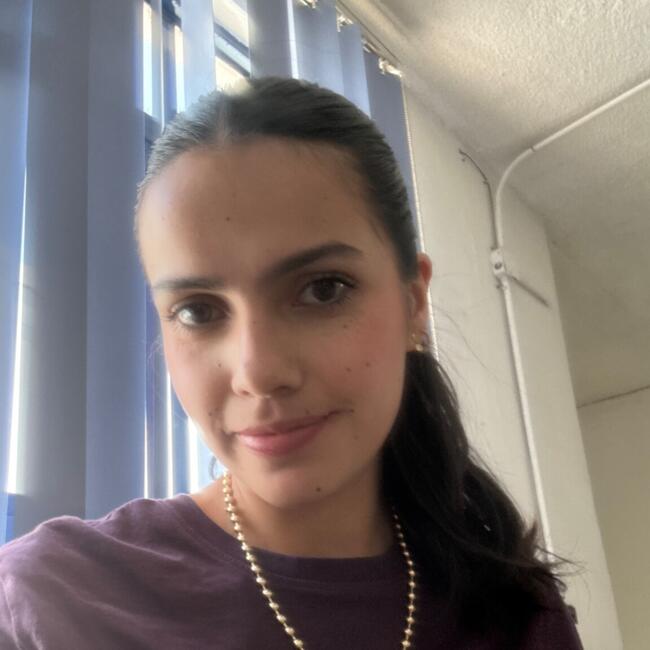 Babysitting job in Pachuca: Adaneli