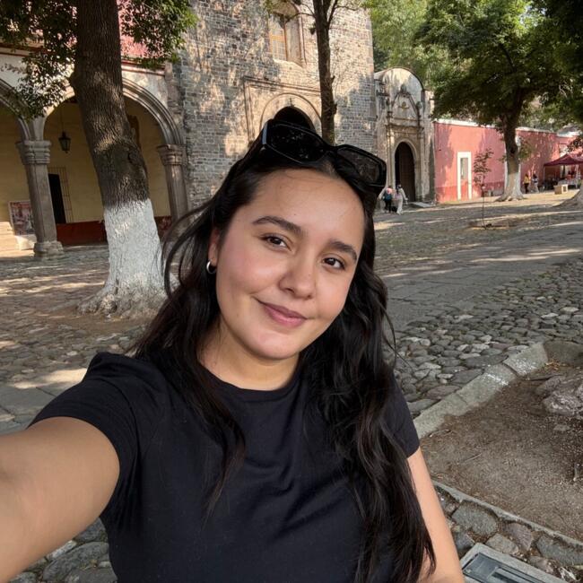 Trabajo para niñera en Cd Carmen: Abil