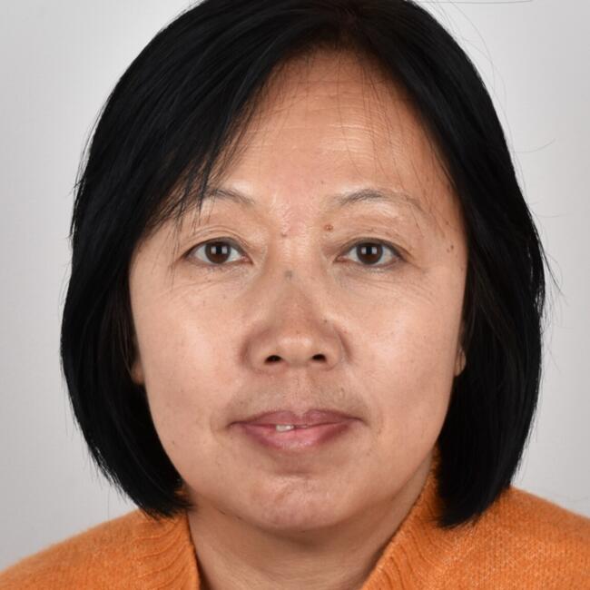 Babysitter in Dunedin: Ying