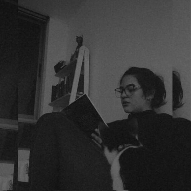 Trabajo para niñera en Alto Hospicio: Franceska