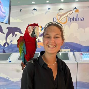 Opiekunka do dziecka Tarnowskie Góry: Natalia