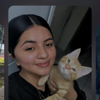 Babysitter in Fresno: Wendy