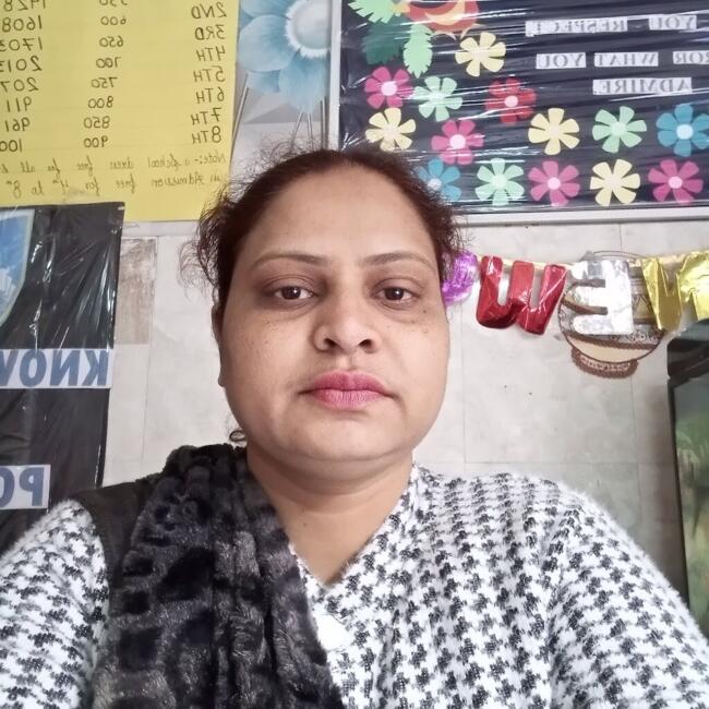 Babysitter in Faridabad: Pinki