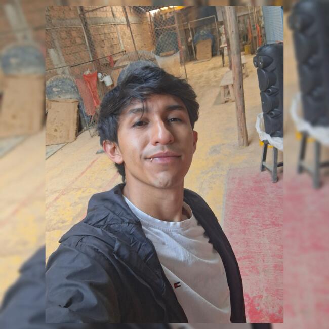 Babysitting job in Bogotá: Camilo