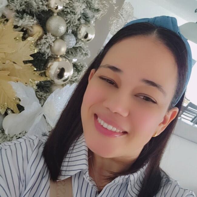 Babysitter in Toa Baja: Aracelis