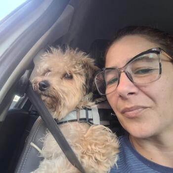 Babysitter in Bertioga: Pamela