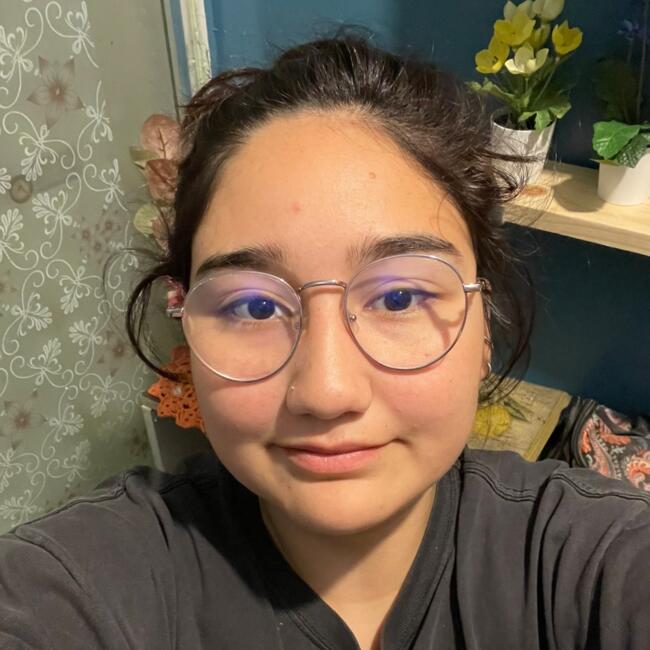 Babysitter in Linares: Ignacia