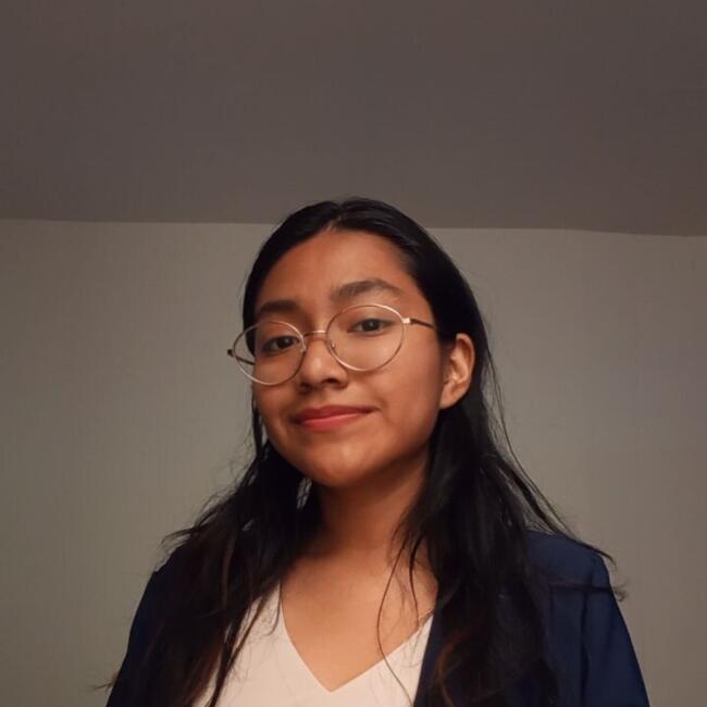 Babysitter in Carabayllo: MILAGROS ANGELA