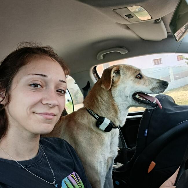 Babysitter in Almancil: Luana