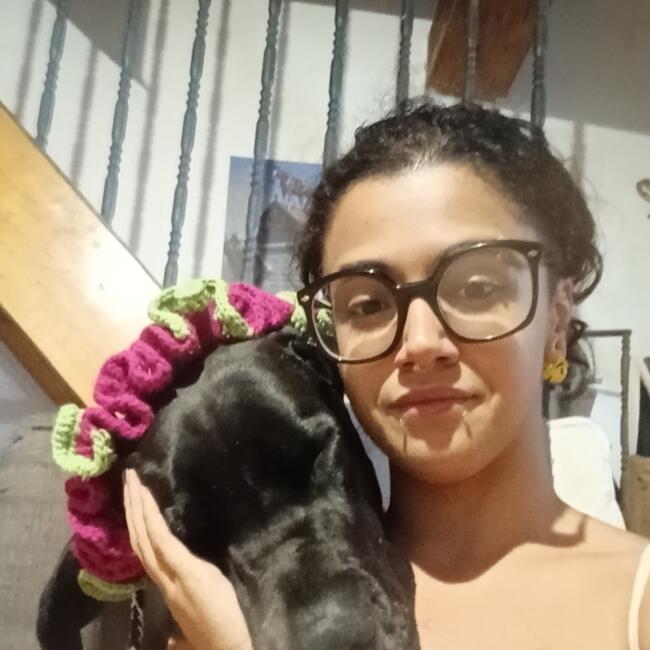 Canguro en Nuevo Baztán: Hayden