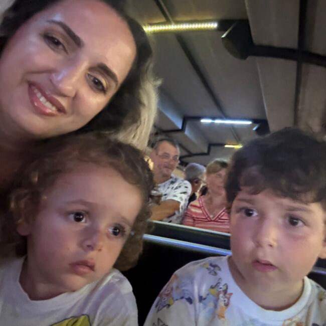 Babysitting job in Chiari: Herta