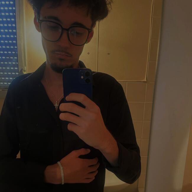 Babysitter in Mirebeau-sur-Bèze: Mathys