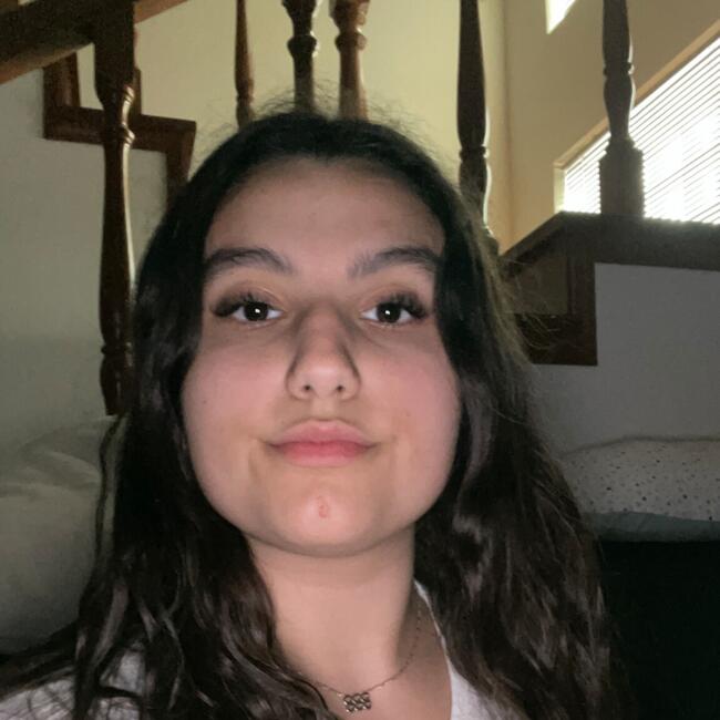 Babysitter em Aradas: Soraia